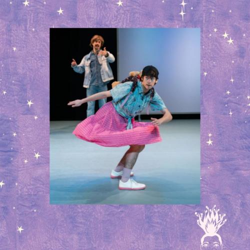 Spectacle "Norman c'est comme normal, à une lettre près"