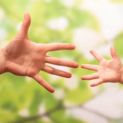 Élever ses enfants autrement, c'est possible?