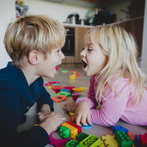 Mieux vivre les conflits au sein de la fratrie : repères et outils pour les parents