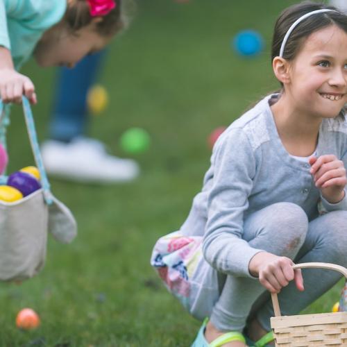 Grande chasse aux œufs