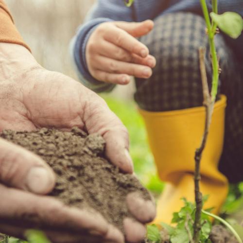 Bourse d'échange aux plantes & outils de jardin