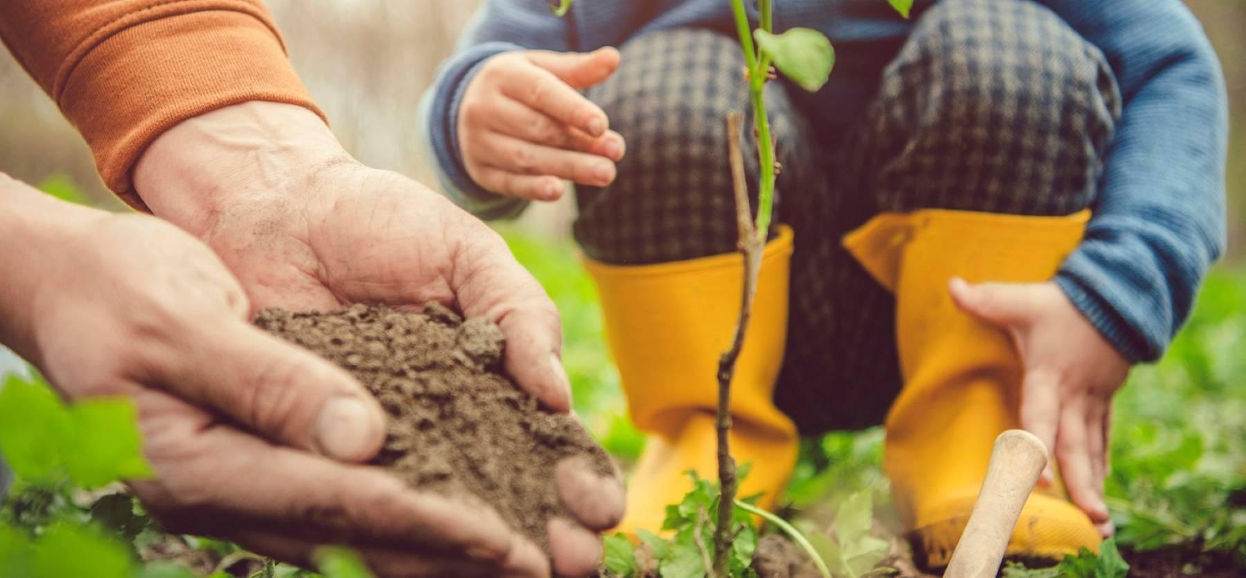 Bourse d'échange aux plantes & outils de jardin